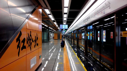 Shenzhen Metro Line 9 Hongling N Sta Platform 1 photo