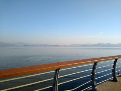 Shenzhen Bay Park - 2019-12-09 - 4
