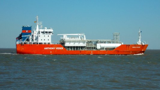 Ship Coral Sticho (3)