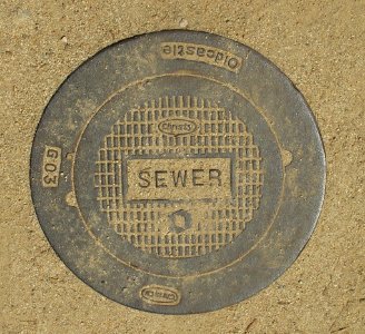 Sewer cover Descanso Gardens 01