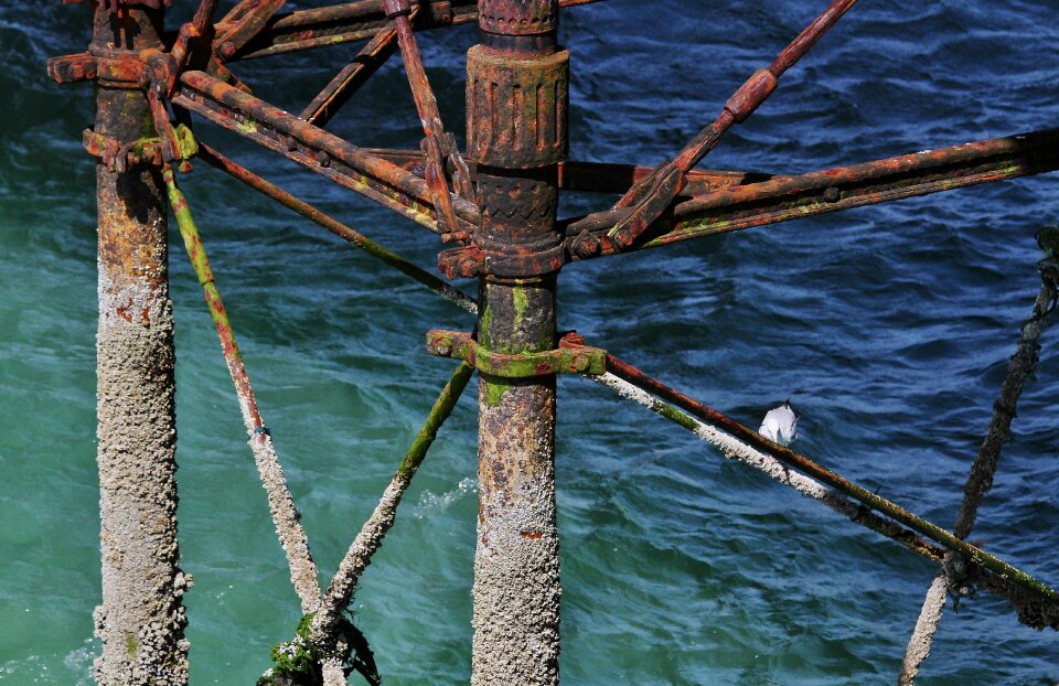 Brighton water seaside