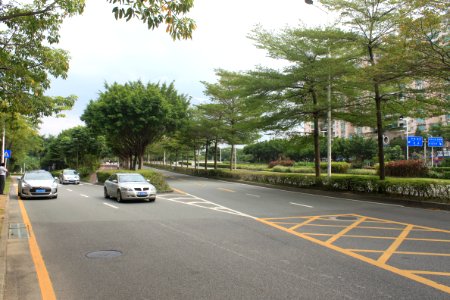 Shennan Boulevard of Futian District1