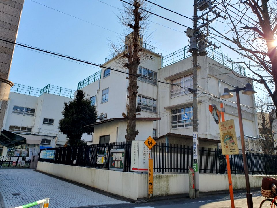 Shibuya ward Hatashiro elementary school