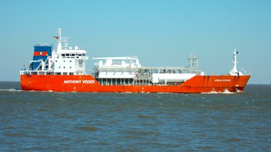 Ship Coral Sticho (2)