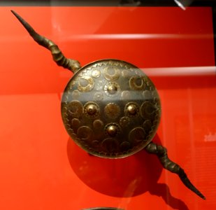 Shield (madu) with double dagger, India, steel, tin, copper, antelope horn - Peabody Museum, Harvard University - DSC06006