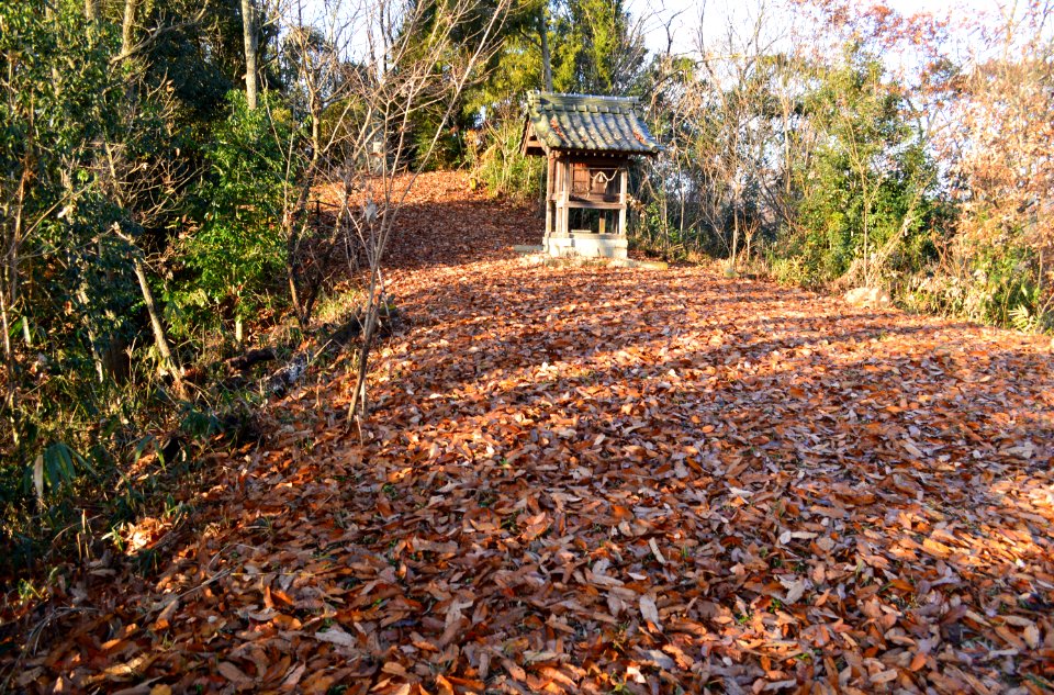 Shiozakiyama Kofun, funkyu