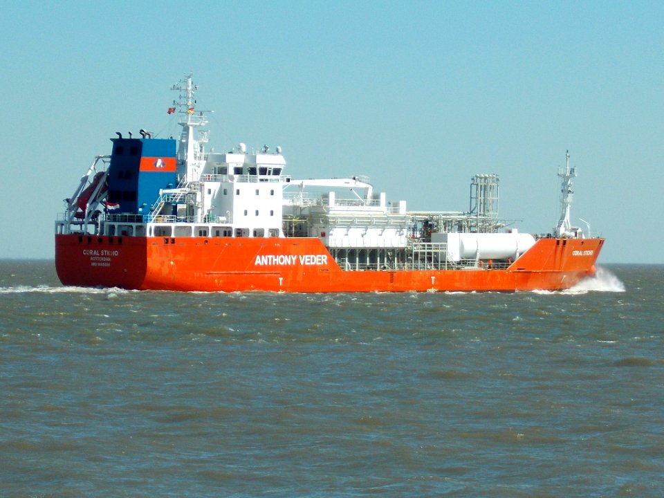 Ship Coral Sticho (4)
