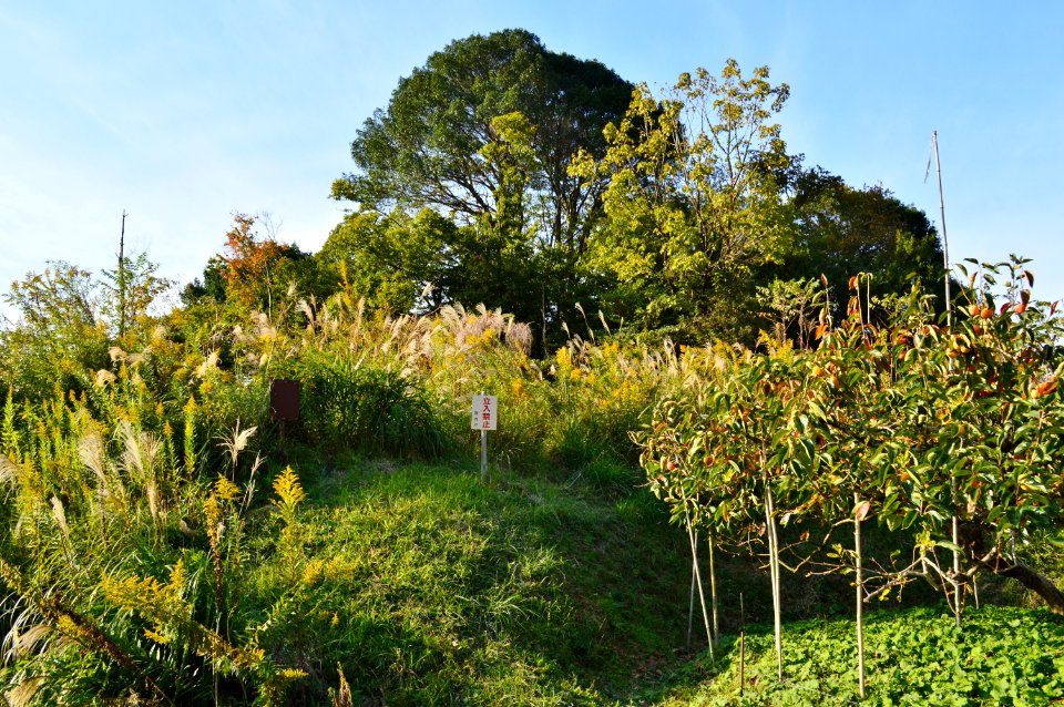 Shibutani Mukaiyama Kofun, baicho-3