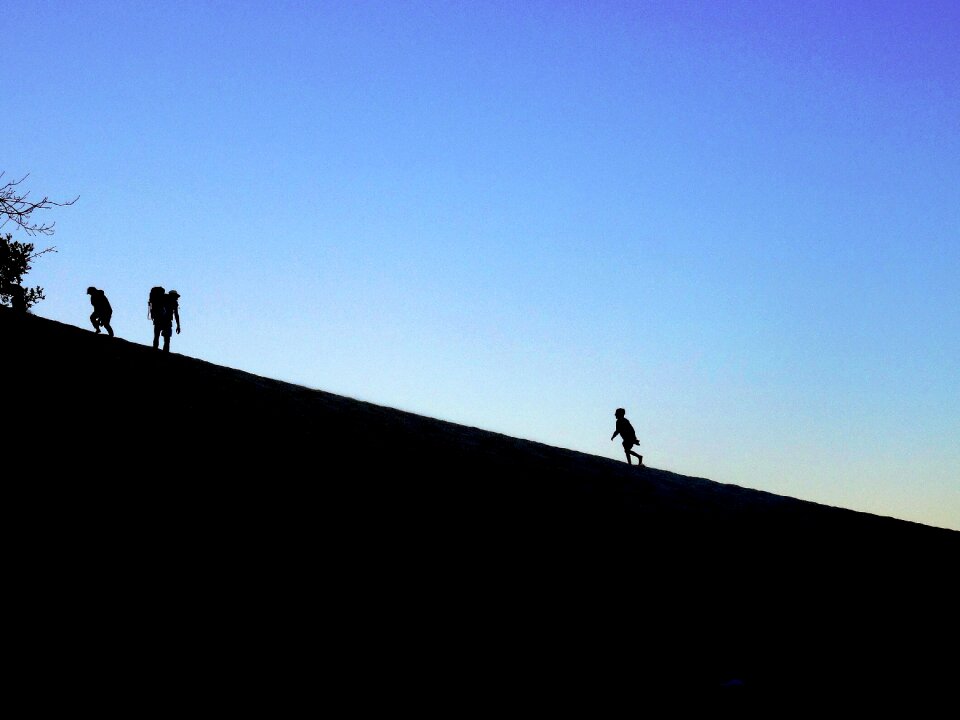Human figures family