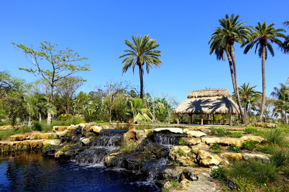 Shelter - Naples Botanical Garden - Naples, Florida - DSC09957