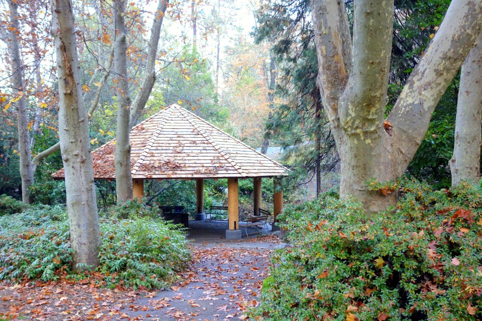 Shelter - Lithia Park - Ashland, Oregon - DSC02684