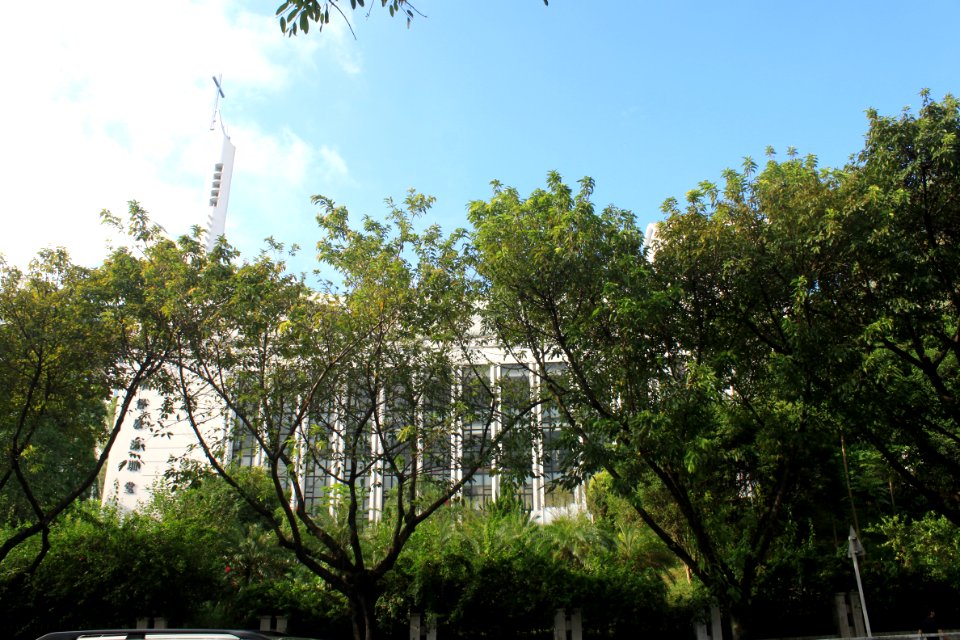 Shenzhen Christ Church10