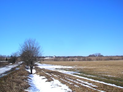 Sheyno Istra 5