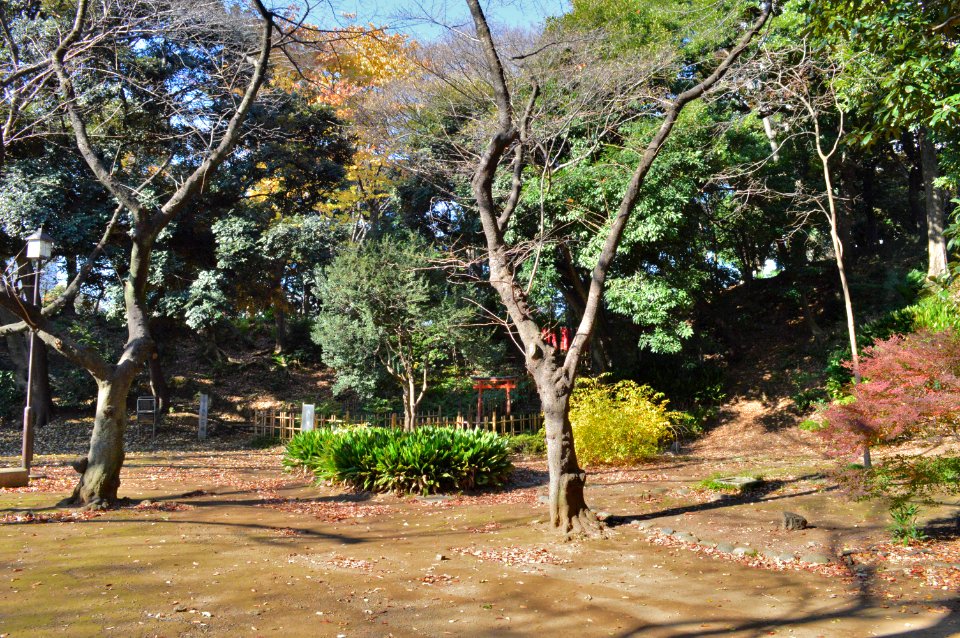 Shiba-maruyama-kofun zenkei