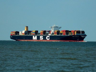 Ship MSC Perle (1)