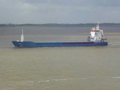 Ship Nelli