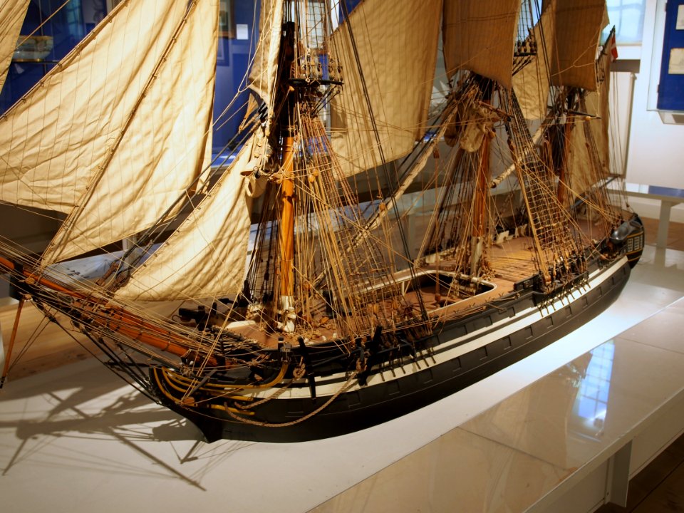 Ship of the line Phoenix pic3