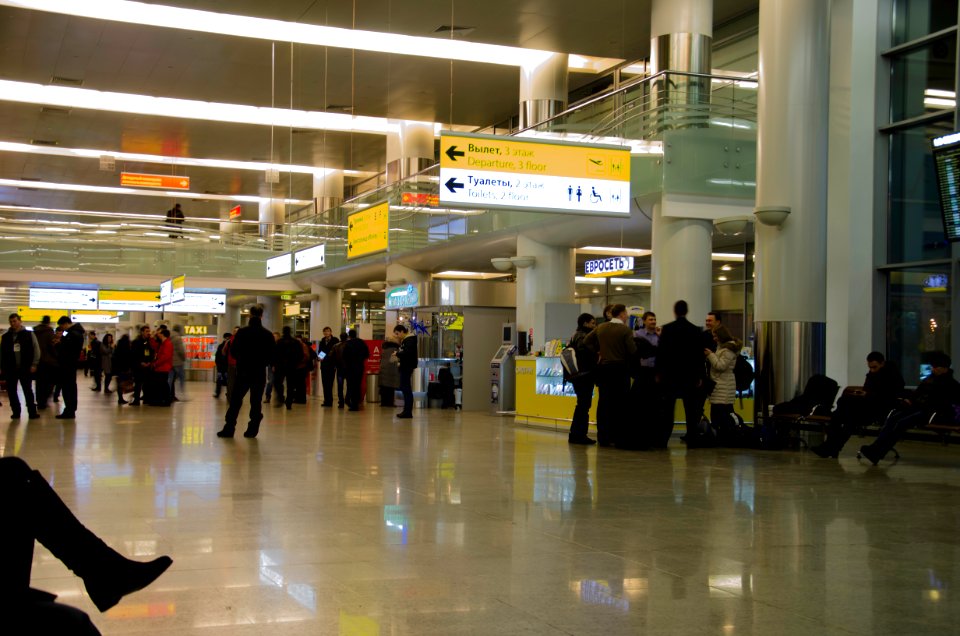 Sheremetyevo-terminal-arrivals-december-2015