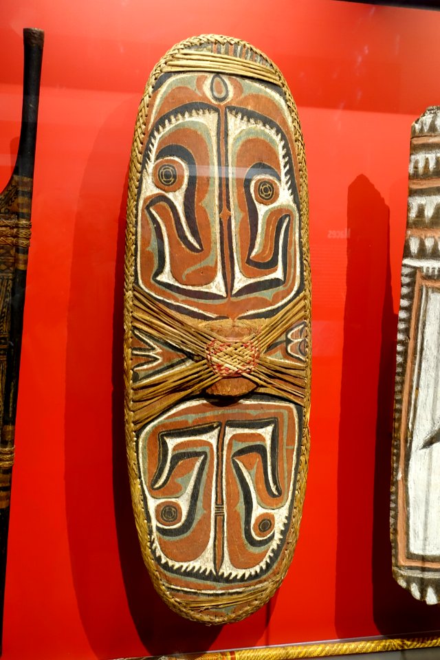 Shield, Sulka, New Britain, Papua New Guinea - Peabody Museum, Harvard University - DSC06012