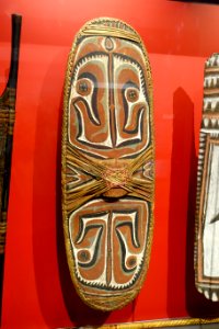 Shield, Sulka, New Britain, Papua New Guinea - Peabody Museum, Harvard University - DSC06012