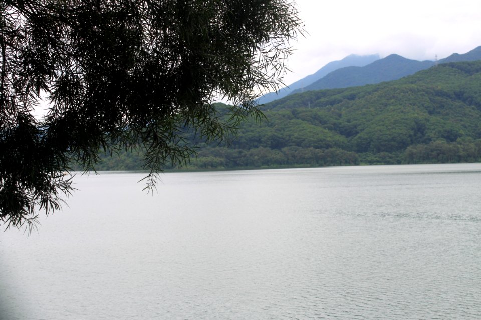Shenzhen Reservoir10