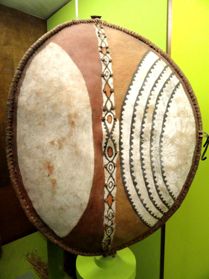 Shield, Masai - African objects in the American Museum of Natural History - DSC05971