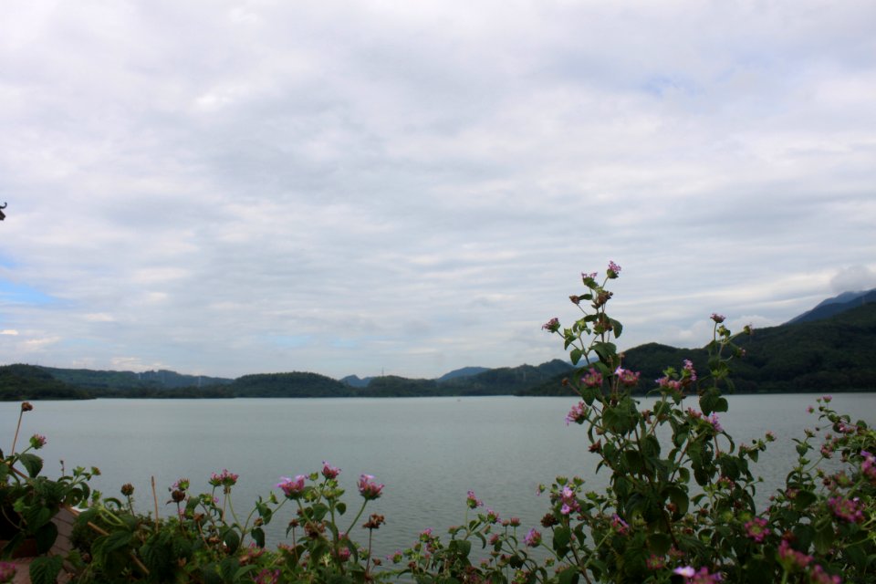 Shenzhen Reservoir1