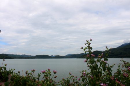 Shenzhen Reservoir1