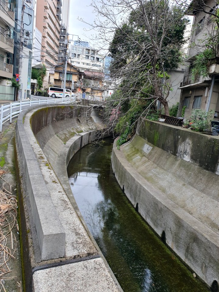Shibuya River in Ebisu