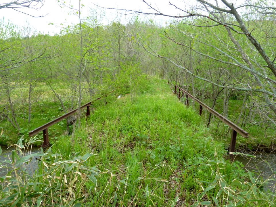 Shibecha Municipal Railway Numahoro-Line No.3 Bridge-2