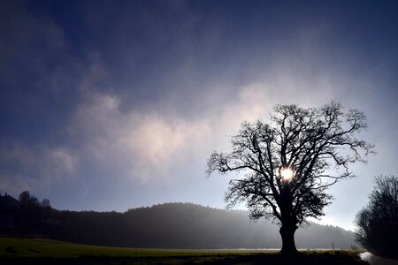 Fog winter kahl