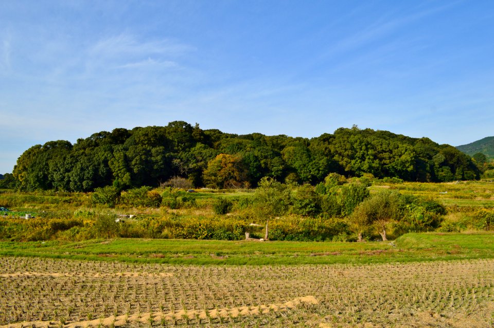Shibutani Mukoyama Kofun, zenkei