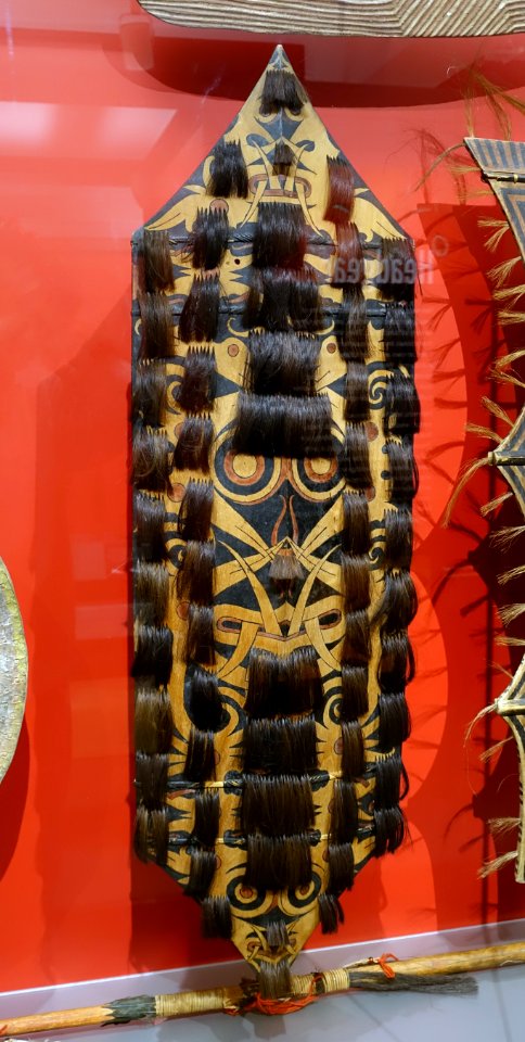 Shield, (kliau), Kayan, Borneo, wood, human hair - Peabody Museum, Harvard University - DSC06002