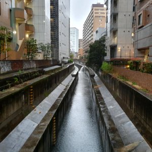 Shibuya River when raining photo