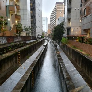 Shibuya River when raining