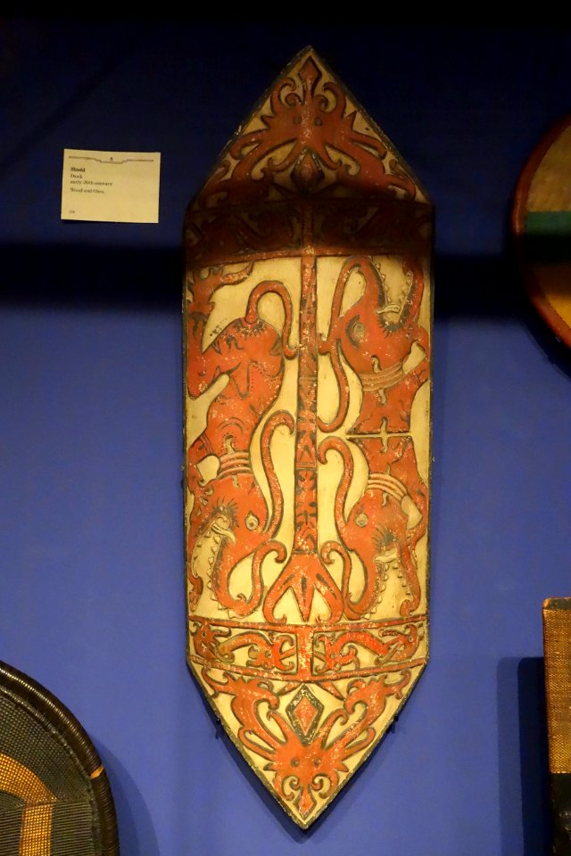 Shield, Dyak, early 20th century, wood and fiber - Glenbow Museum - DSC00773