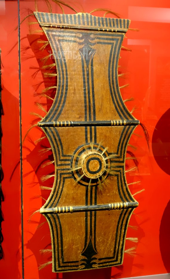 Shield, Ata, Lasang River, Davao, Philippines, wood, animal hair - Peabody Museum, Harvard University - DSC06004