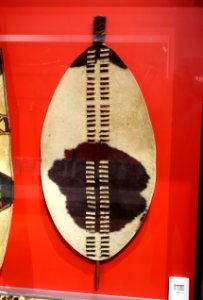 Shield, Zulu, Southern Africa, cow hide - Peabody Museum, Harvard University - DSC05996