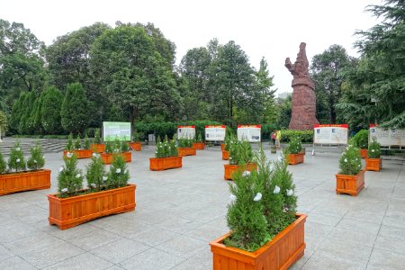 Shi’er Qiao Martyrs’ Tombs - Chengdu Culture Park - Chengdu, China - DSC03934