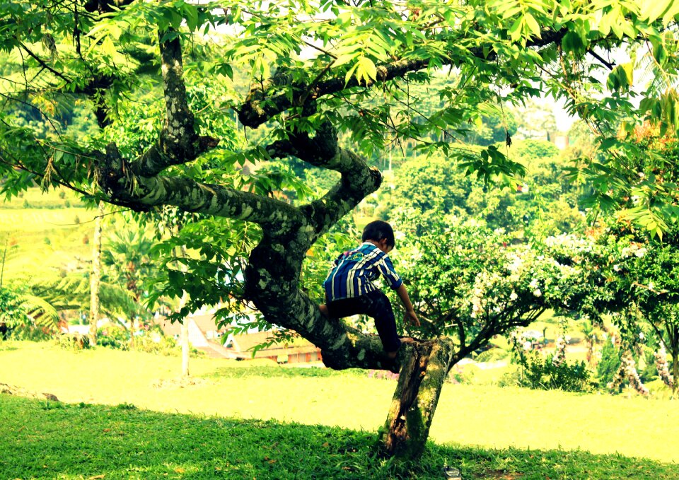Climbing outside imaginative
