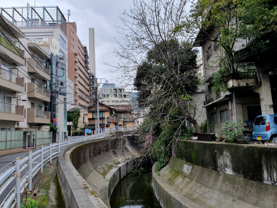 Shibuya River in Ebisu 2