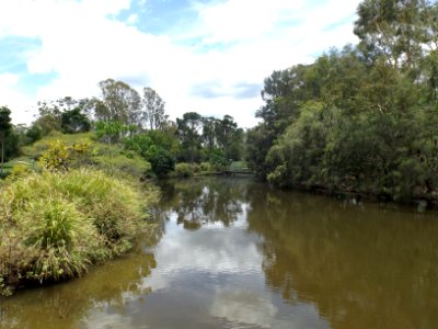 Sherwood Arboretum wetlands