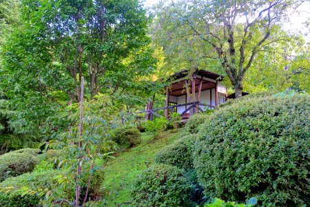 Shelter - Fujiya Hotel - Hakone, Japan - DSC06160
