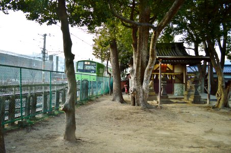 Shibukawa-tenjinja, keidai