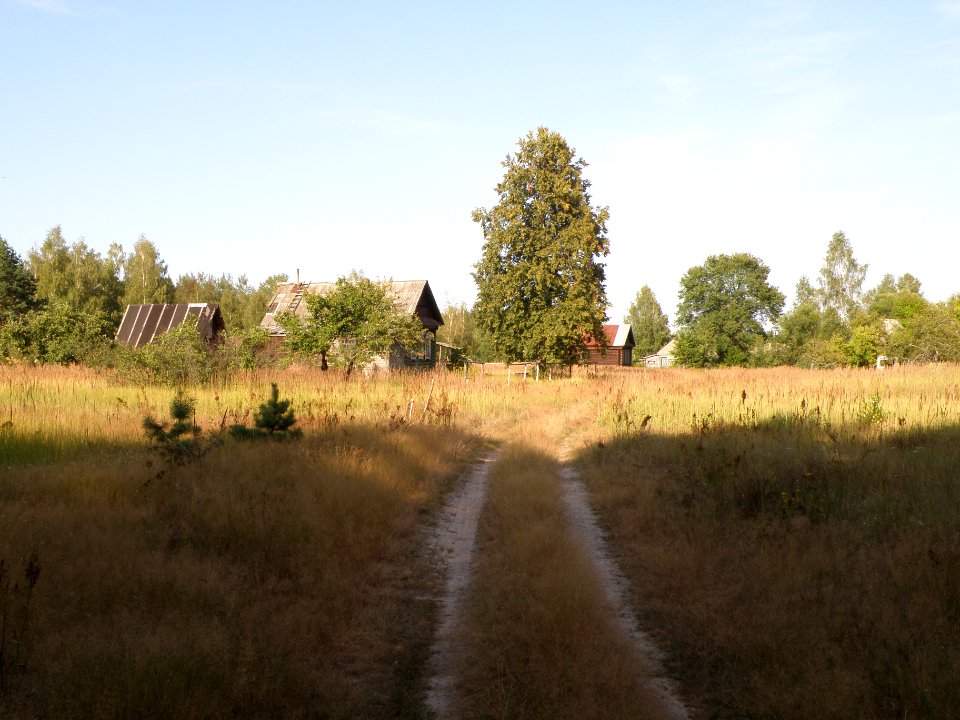 Shestimirovo