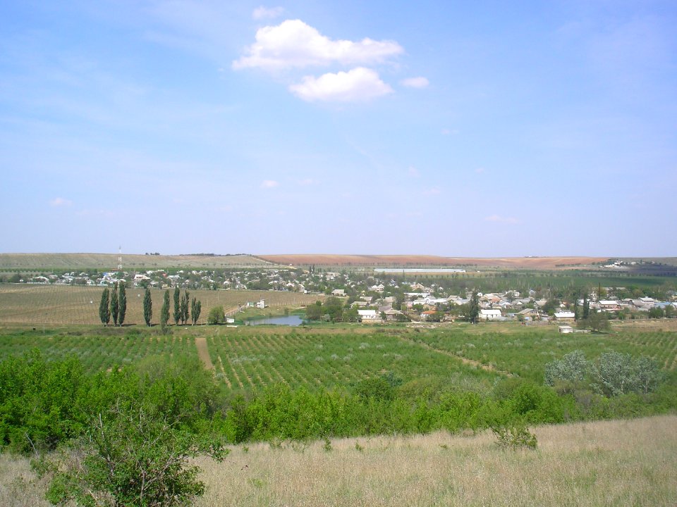 Shevchenkovo 11
