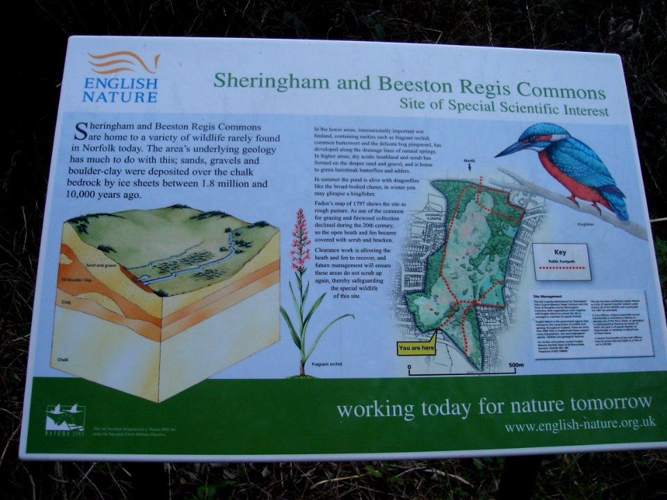 Sheringham and Beeston Regis Commons
