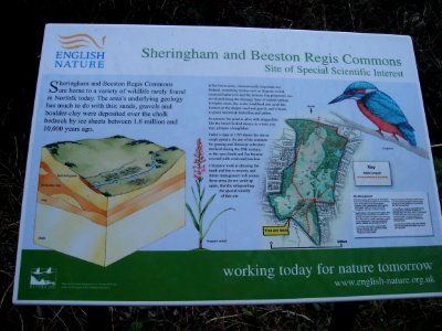 Sheringham and Beeston Regis Commons photo
