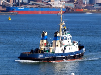 Sirius IMO 7700180 at IJmuiden photo