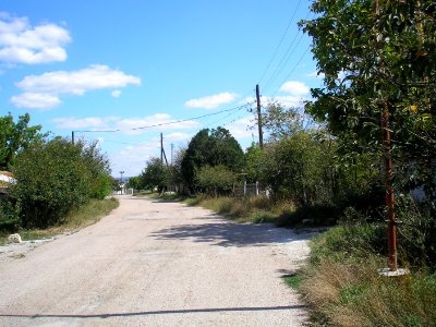 Siren village 5